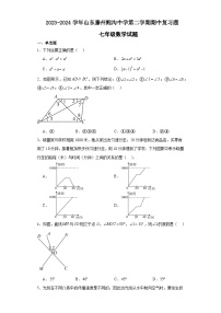 山东省枣庄市滕州市鲍沟镇鲍沟中学2023-2024学年下学期期中复习题七年级数学试题