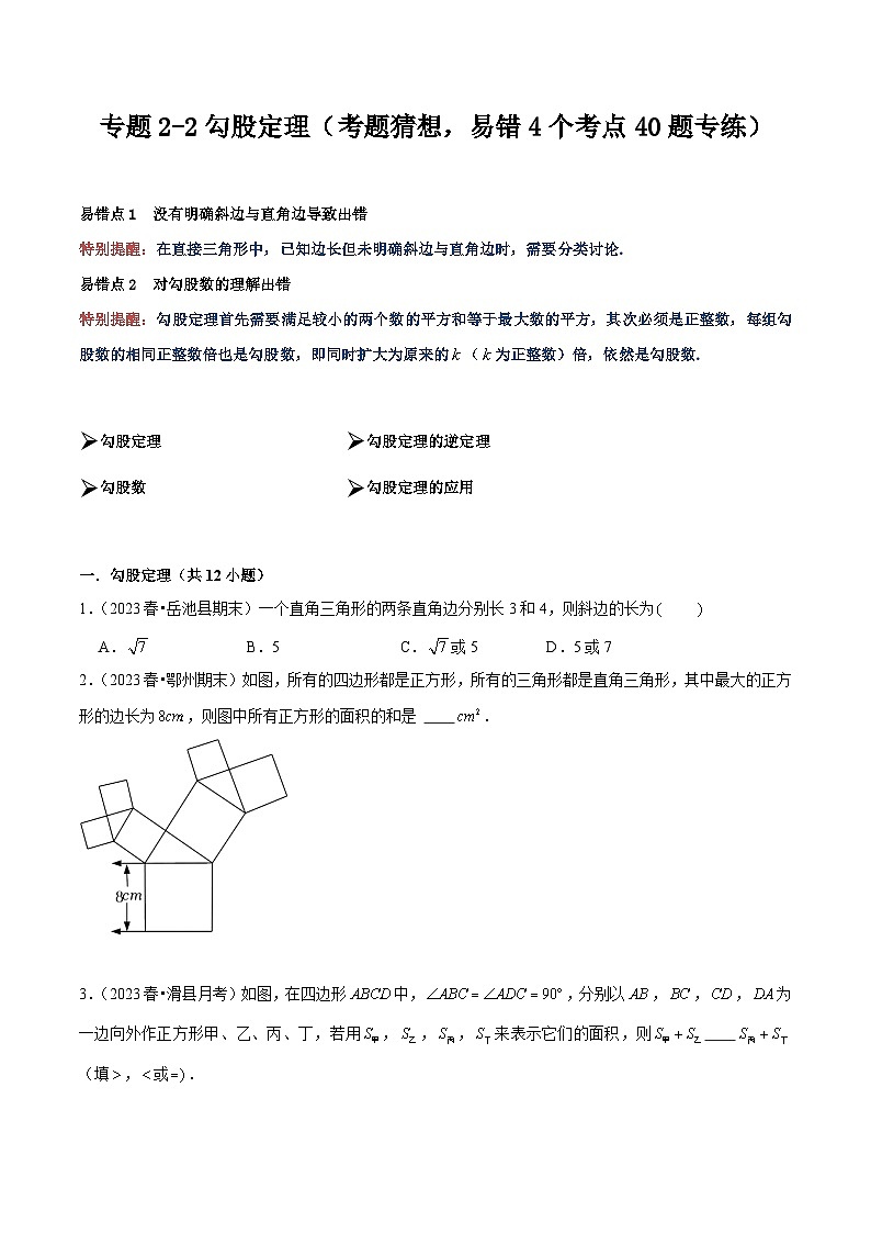 【期中讲练测】人教版八年级下册数学 专题2-2勾股定理 易错专练 .zip01