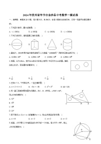 2024年贵州省毕节市金沙县中考数学一模试卷(含解析）