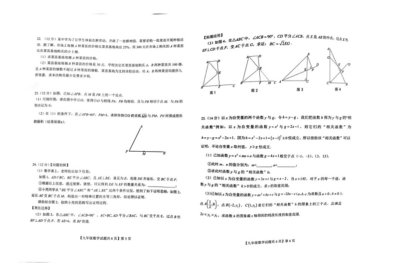 2024年山东省德州市德城区九年级中考一模数学试卷第3页