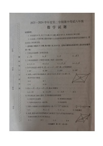 河南省漯河市临颍县2023-2024学年八年级下学期期中考试数学试题