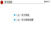 10.2 二元一次方程组-苏科版数学七年级下册同步课件