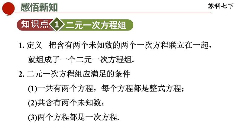 10.2 二元一次方程组-苏科版数学七年级下册同步课件03