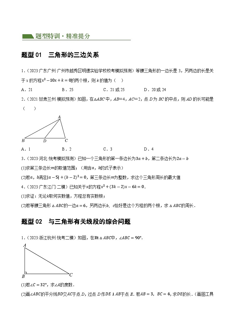 专题04 三角形的性质与判定（原卷版）第2页