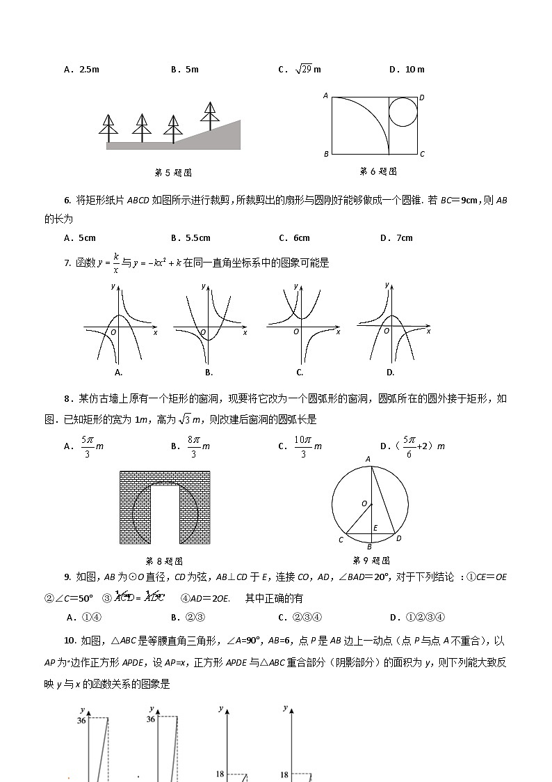 山东省烟台市福山区（五四制）2023-2024学年九年级上学期期末考试数学试题02