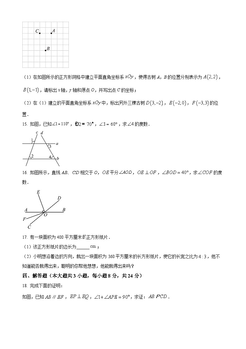 江西省赣州市崇义县2023-2024学年七年级下学期期中数学试题（原卷版+解析版）03