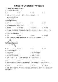 安徽省淮南市淮南实验中学2023-2024学年七年级下学期期中数学试题