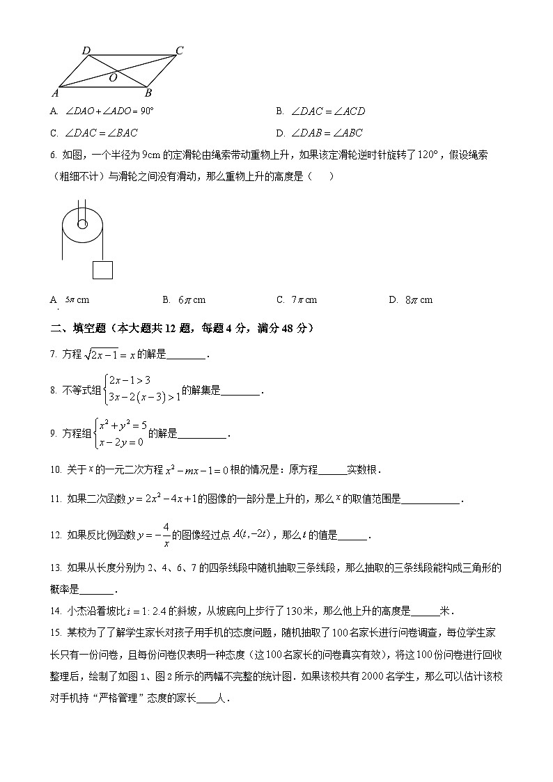 2024年上海市徐汇区中考二模数学试题（原卷版）第2页