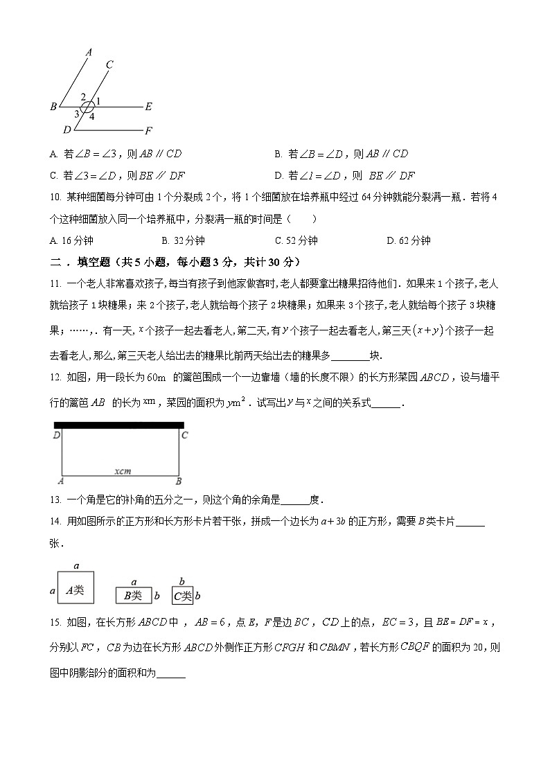 广东省深圳育才教育集团2023-2024学年七年级下学期期中数学试题（原卷版+解析版）03