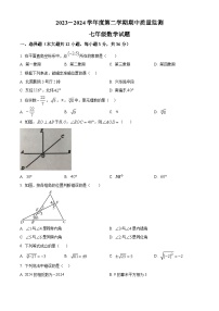 河北省保定市蠡县2023-2024学年七年级下学期期中数学试题（原卷版+解析版）