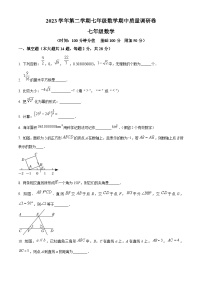 上海市杨浦区部分学校2023-2024学年七年级下学期期中数学试题（原卷版+解析版）