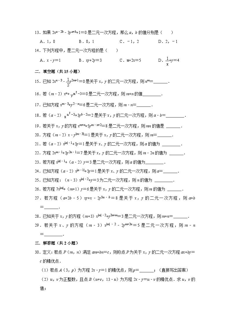 二元一次方程的定义专项练习---2023-2024学年广饶县乐安中学七年级下册数学鲁教版（五四学制）第2页