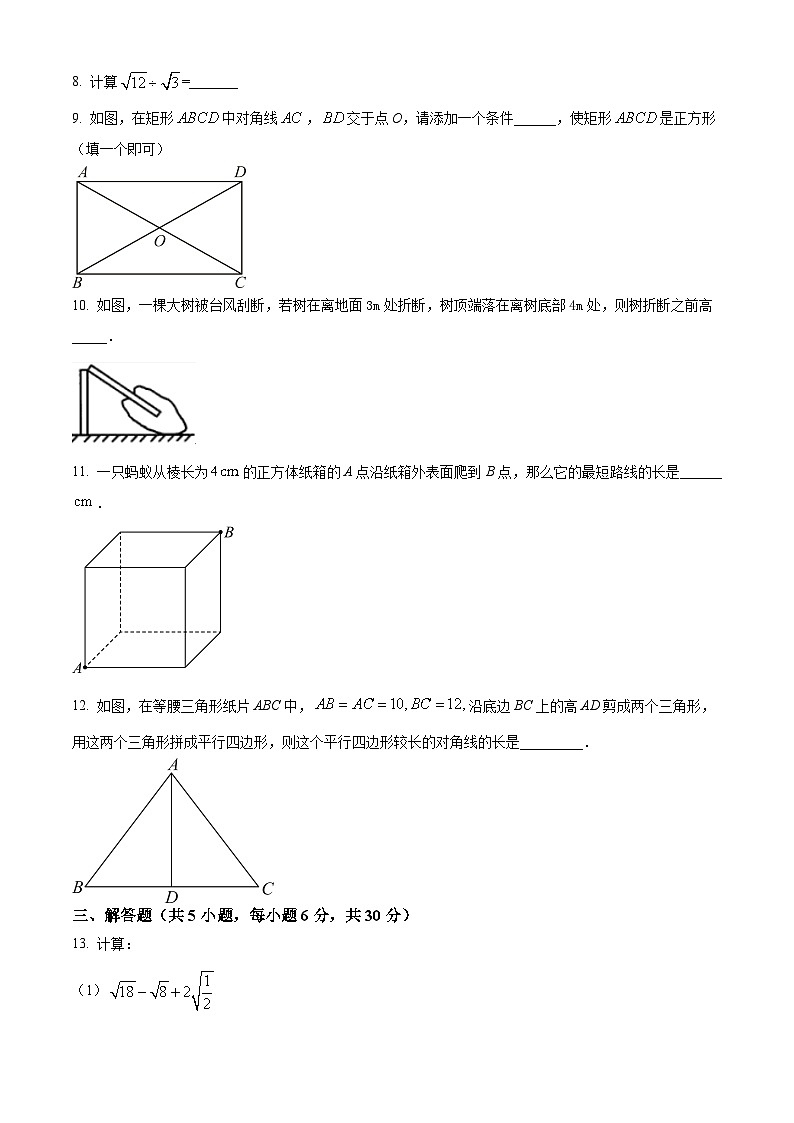 江西省赣州市会昌县2023-2024学年八年级下学期期中数学试题（原卷版）第2页