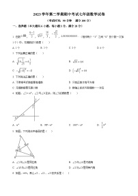 上海市闵行区2023-2024学年七年级下学期期中数学试题（原卷版+解析版）