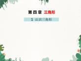 4.1 认识三角形 北师大版七年级数学下册课件