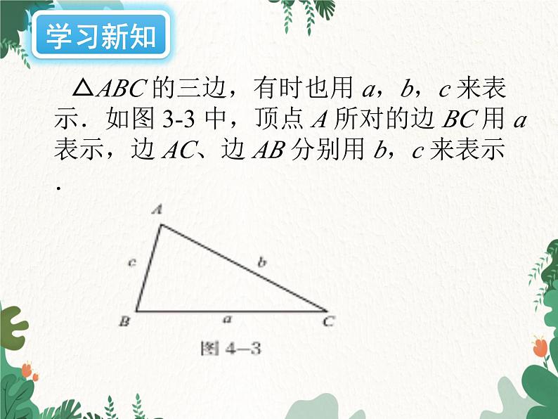 4.1 认识三角形 北师大版七年级数学下册课件第7页