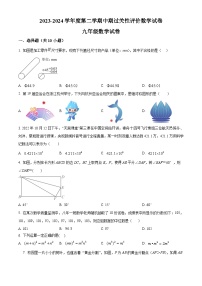 广东省深圳市2023-2024学年九年级下学期期中数学试题（原卷版+解析版）