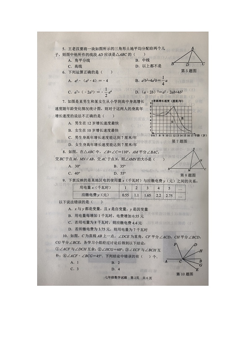 山东省枣庄市薛城区2023-2024学年下学期七年级数学期中考试题+第2页