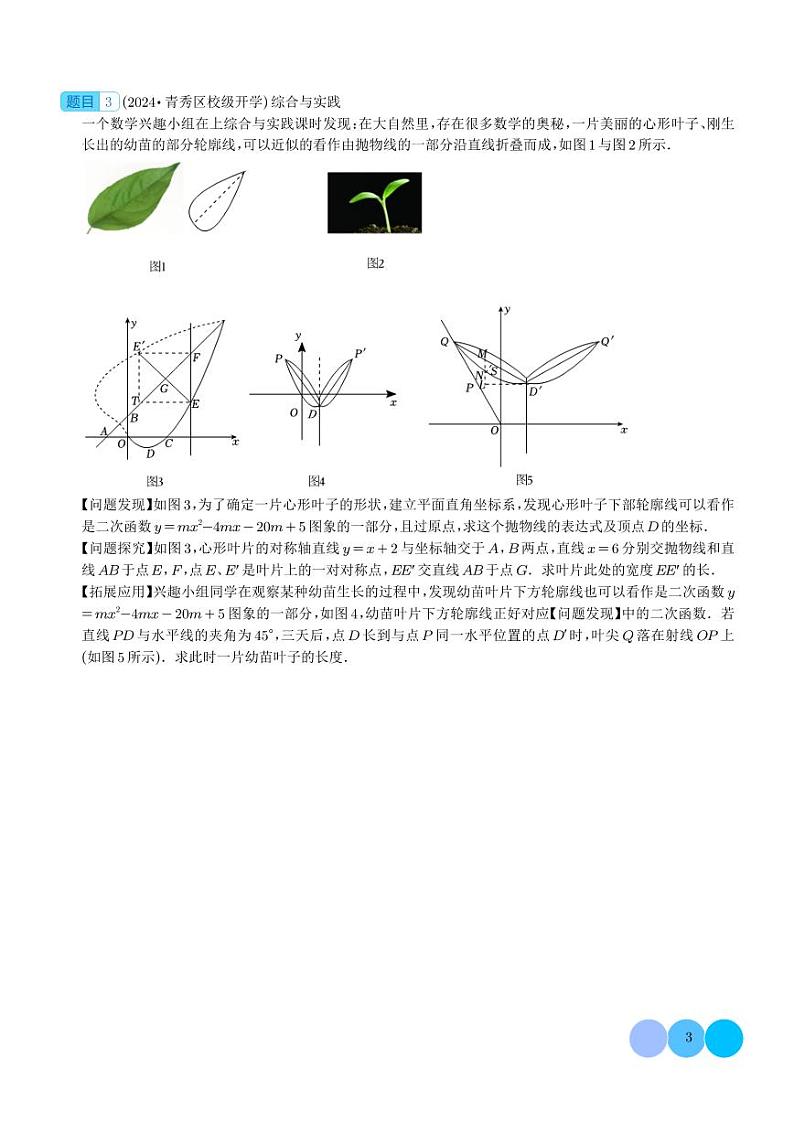 2024年中考数学二轮培优专题 压轴题（含答案）第3页