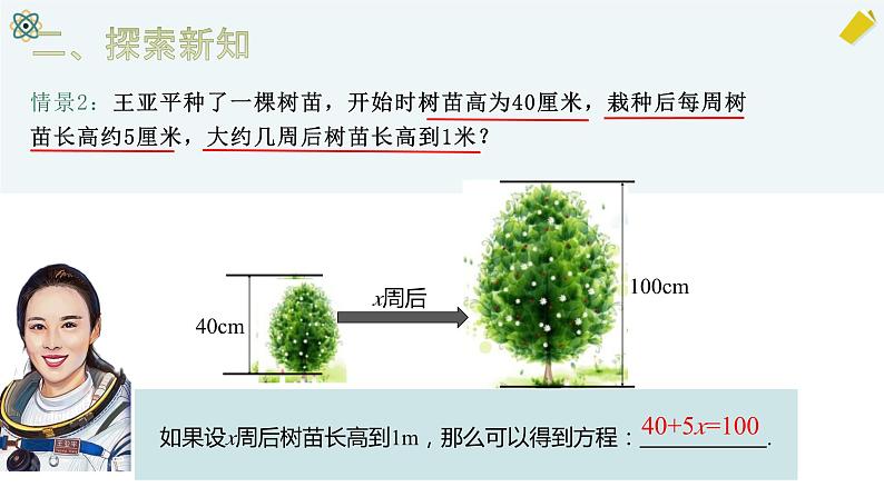 3.1.1一元一次方程- 课件 2023-2024学年人教版数学七年级上册第6页