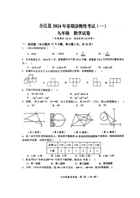 2024年四川省泸州市合江县中考一模数学试题