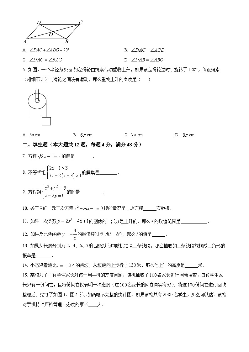 2024年上海市徐汇区中考二模数学试题（原卷版）第2页