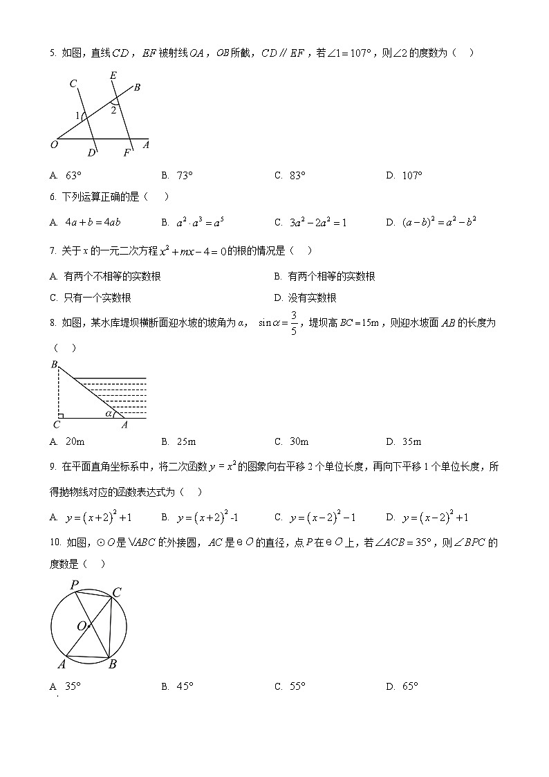2024年广西南宁地区九年级下学期一模数学试题（原卷版+解析版）02