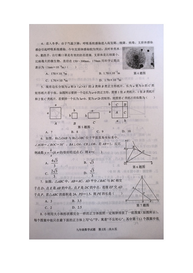2024年山东省枣庄市薛城区中考二模数学试题第2页