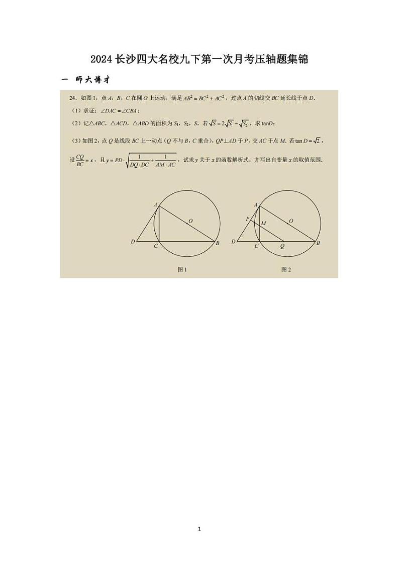2024长沙四大名校九下第一次月考数学压轴题集锦01