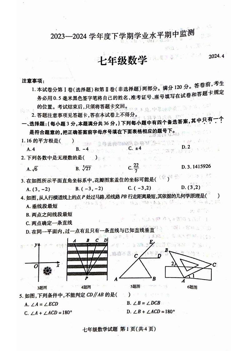 山东省临沂市罗庄区2023-2024学年七年级下学期4月期中考试数学试题01