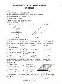 浙江省温州市新希望学校2023-2024学年七年级下学期数学期中试卷