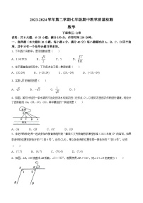 安徽省芜湖市无为市部分学校2023-2024学年七年级下学期期中数学试题