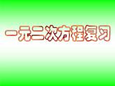 沪科版数学八年级下册 17.1二元一次方程复习-课件