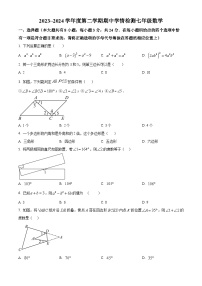 江苏省宿迁市沭阳县2023-2024学年七年级下学期期中数学试题（原卷版+解析版）