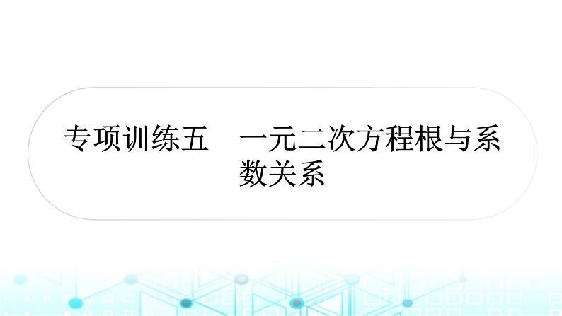 中考数学复习专项训练五一元二次方程根与系数关系课件01