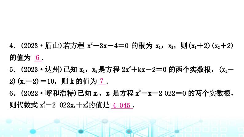 中考数学复习专项训练五一元二次方程根与系数关系课件05