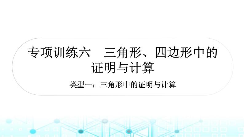 中考数学复习专项训练六三角形、四边形中的证明与计算课件01