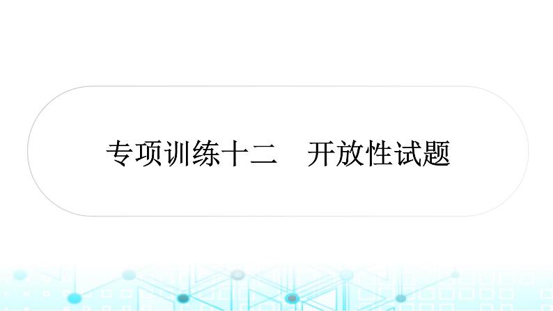 中考数学复习专项训练十二开放性试题课件第1页