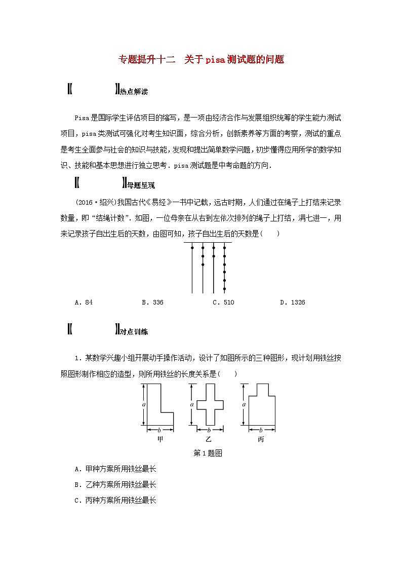 浙江省中考数学总复习专题提升十二关于pisa测试题的问题试题第1页