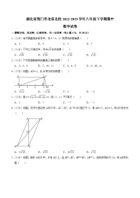 湖北省荆门市龙泉北校2022-2023学年八年级下学期期中考试数学试卷（含答案）