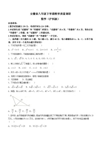 安徽省阜阳市临泉县中学联考2023-2024学年八年级下学期期中数学试题（含答案）