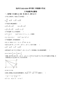 安徽省池州市2023-2024学年八年级下学期期中数学试题(含答案)