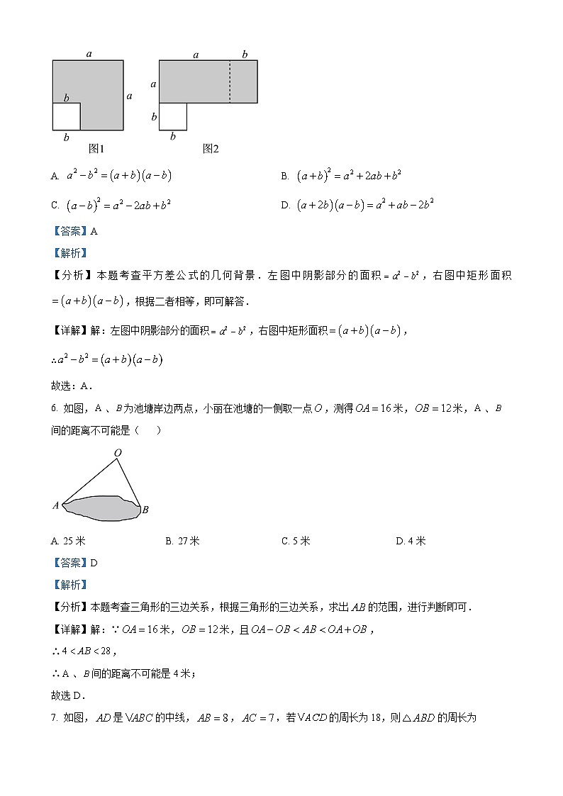 江苏省徐州市丰县2023-2024学年七年级下学期期中数学试题（原卷版+解析版）03