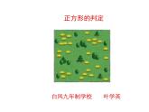 19.3.2 正方形的判定课件