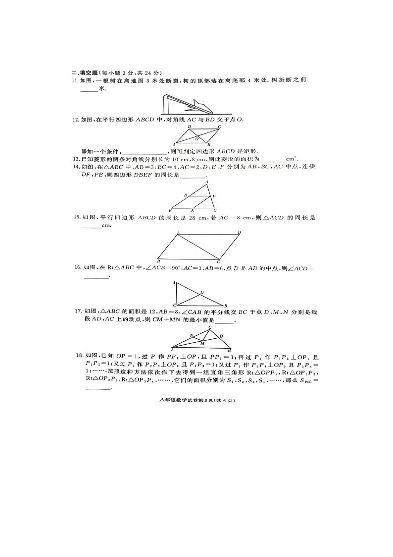 湖南省张家界市桑植县2023-2024学年八年级下学期4月期中数学试题第3页