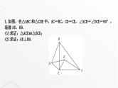 中考数学复习重难突破微专题(九)手拉手模型课件