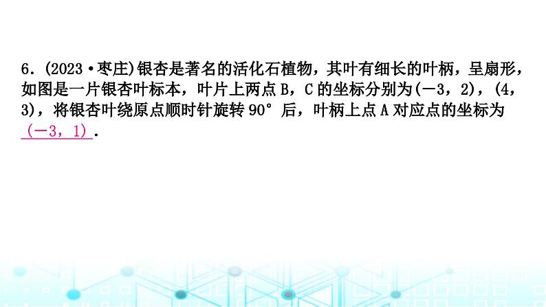 中考数学复习第七章图形变化第三节图形的平移、对称与旋转课件07