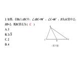 中考数学一轮教材梳理复习课件第16课时　直角三角形