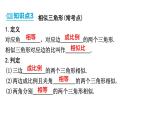 中考数学一轮复习 考点讲练课件 ：第25讲 图形的相似
