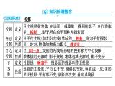 中考数学一轮复习考点讲练课件 ：第26讲 投影与视图